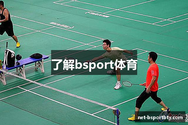 了解bsport体育